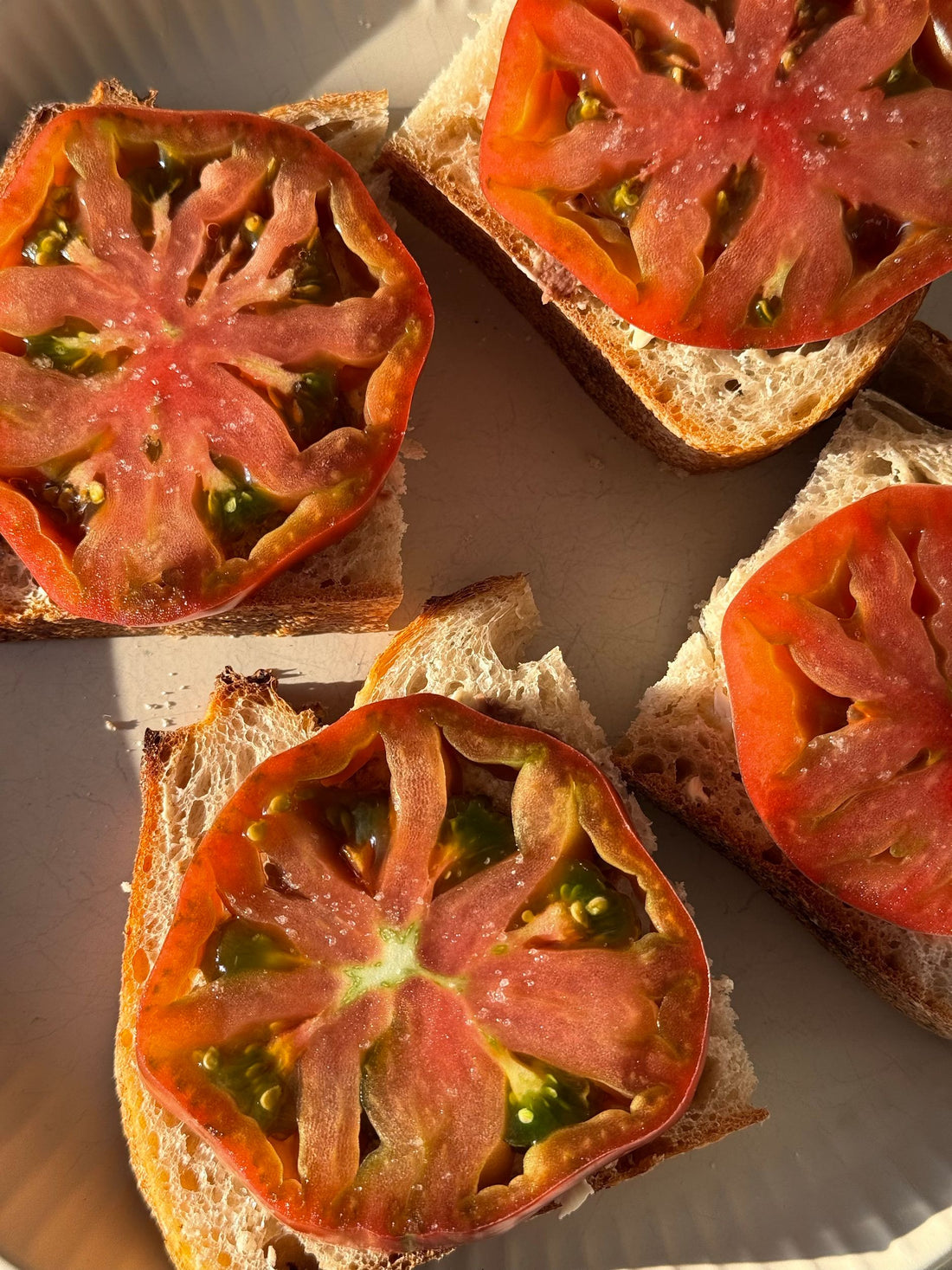 Pan con tomate — rustic toasted bread with ripe tomato and olive oil