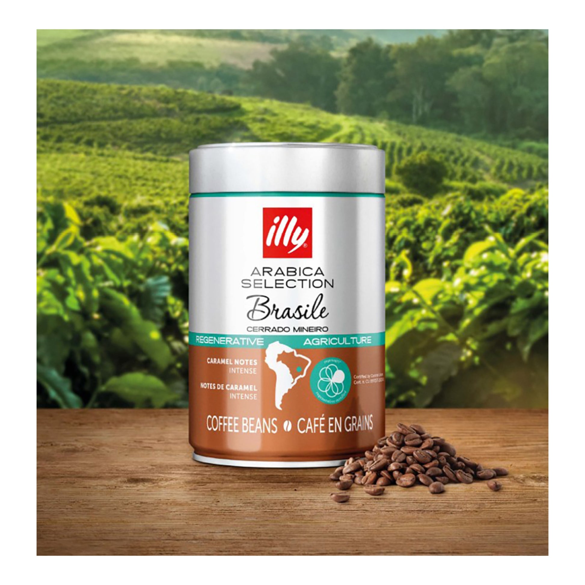 Illy Brasil Cerrado Mineiro – 100% Arabica Whole Bean Coffee 250g