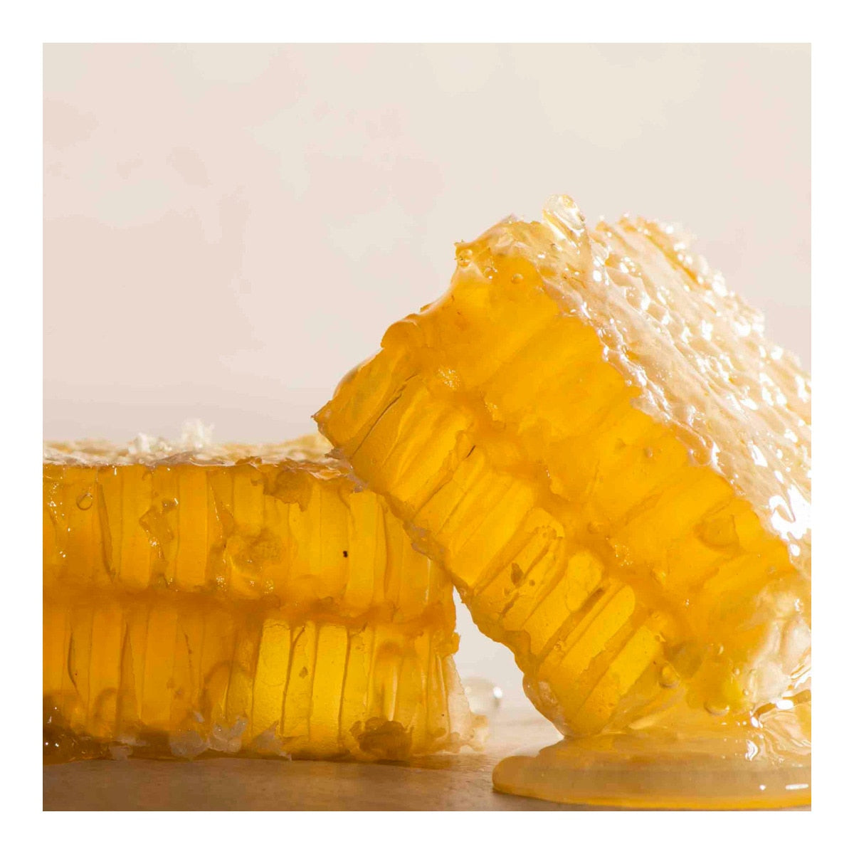 Melisterra Honeycomb – Spanish Raw Honey 160g