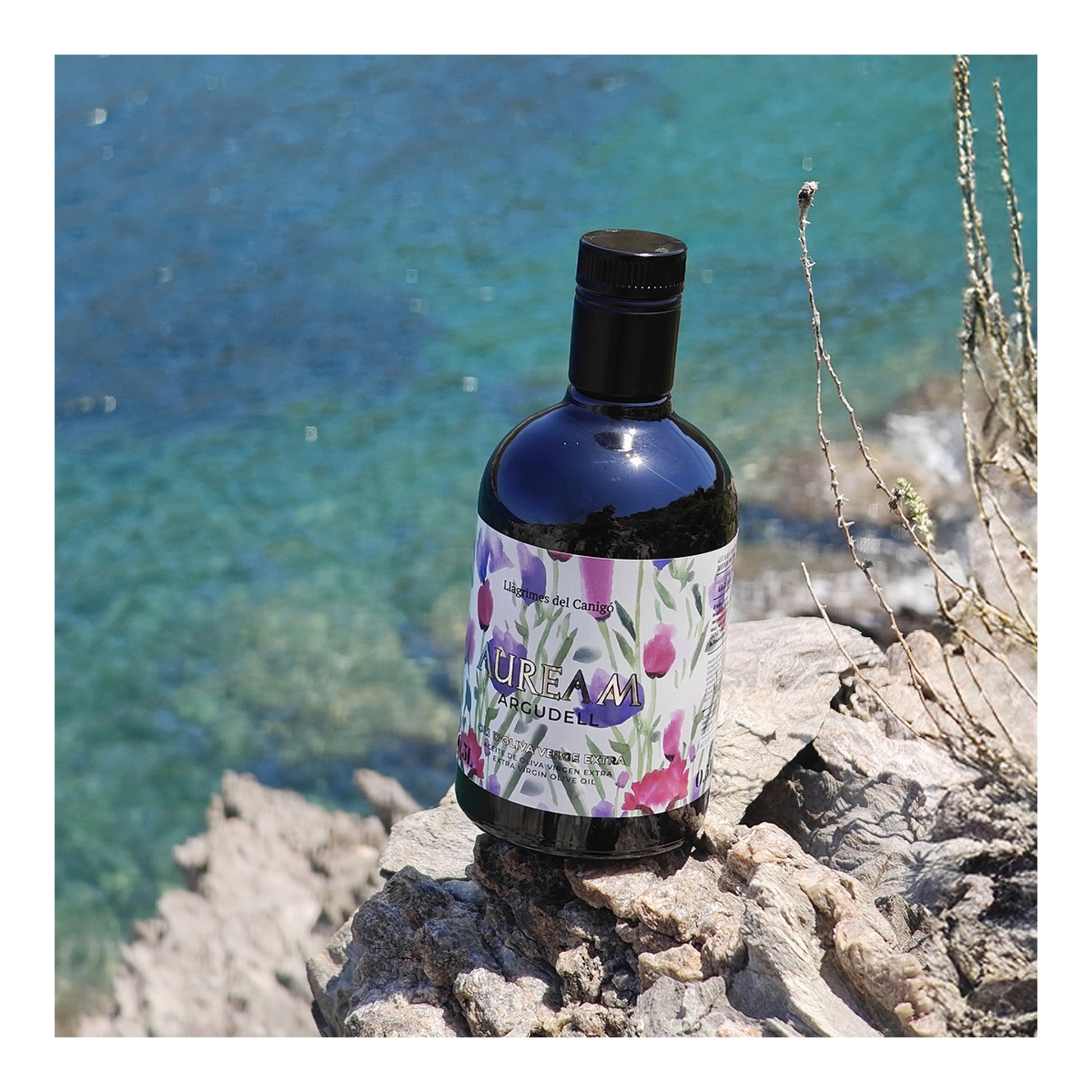 Auream Argudell Canigooil Extra Virgin Olive Oil – 500g