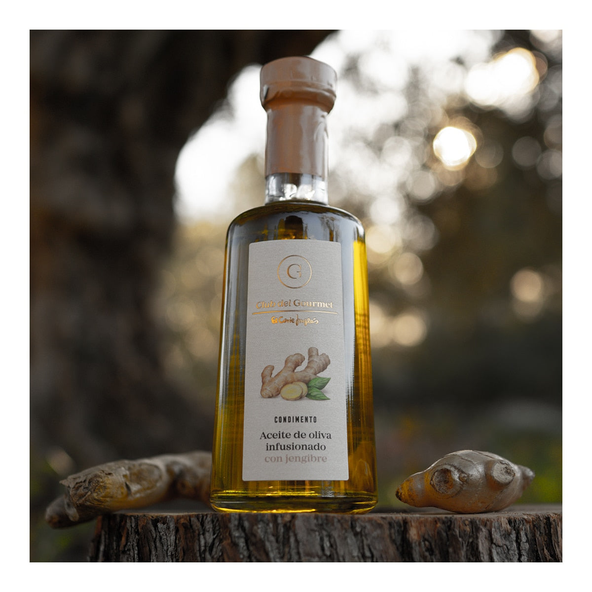 Club del Gourmet Ginger-Infused Olive Oil – Spanish Condiment 454g