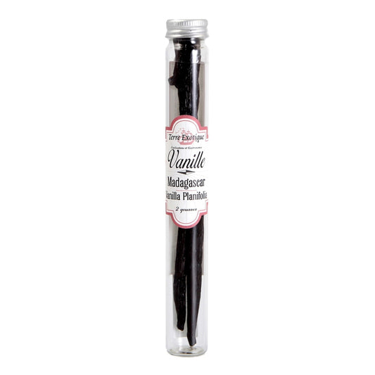 Terre Exotique Madagascar Vanilla – Grade A Pods 60g